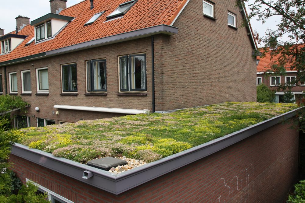 Groene daken | TuinhoutZeeland.nl