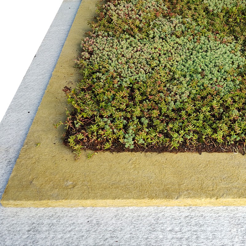 vegetatiemat lichtgewicht groen dak