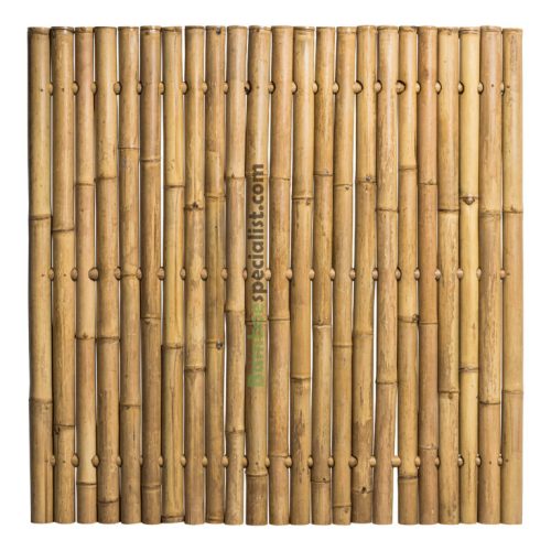 Bamboescherm Jumbo Naturel | 180 x 180 cm