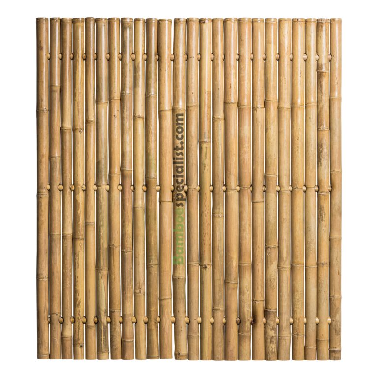 Bamboescherm Jumbo Naturel | 200 x 180 cm